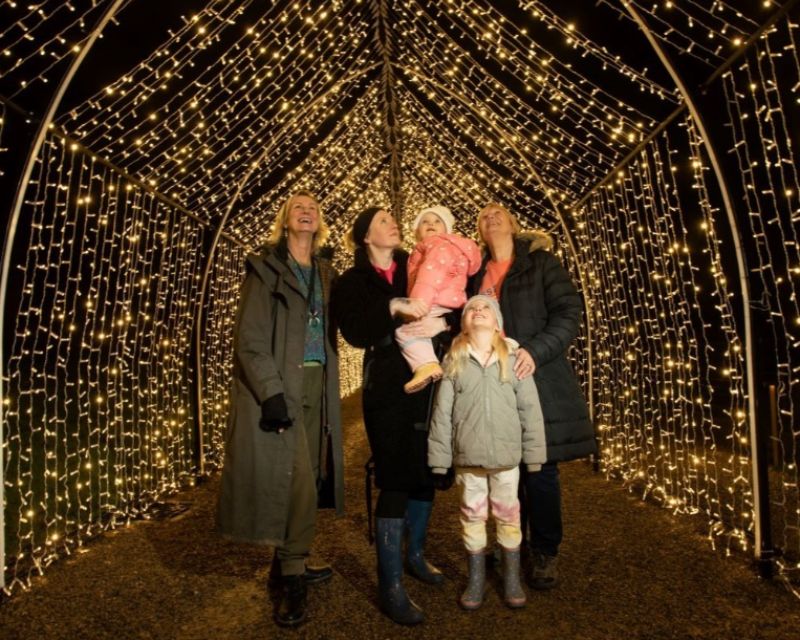 Picture of Family seeing the Christmas lights.