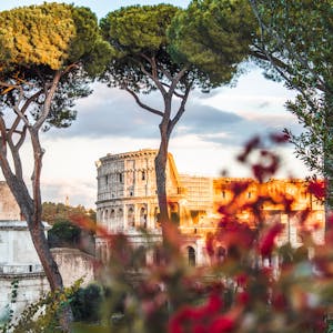 Beautiful view of the Colosseum framed by trees and flowers in Rome, Italy.